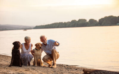 Approaching retirement: Are you ready?